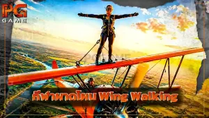 กีฬาผาดโผน Wing Walking