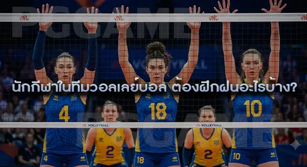 วอลเลย์บอล กีฬาประเภททีม