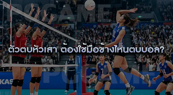 หน้าที่หลัก ตัวตบหัวเสา