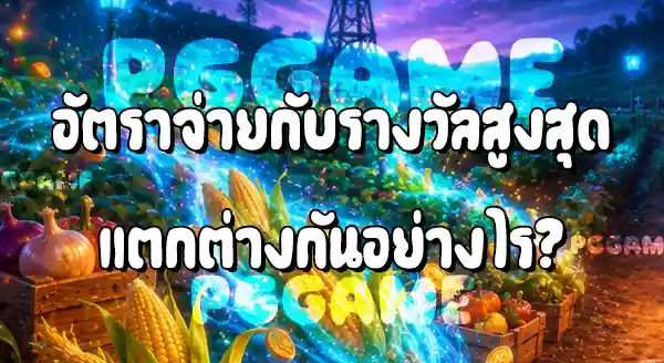 Farmstead Fortune อัตราจ่ายเท่าไหร่