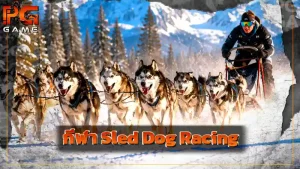กีฬา Sled Dog Racing