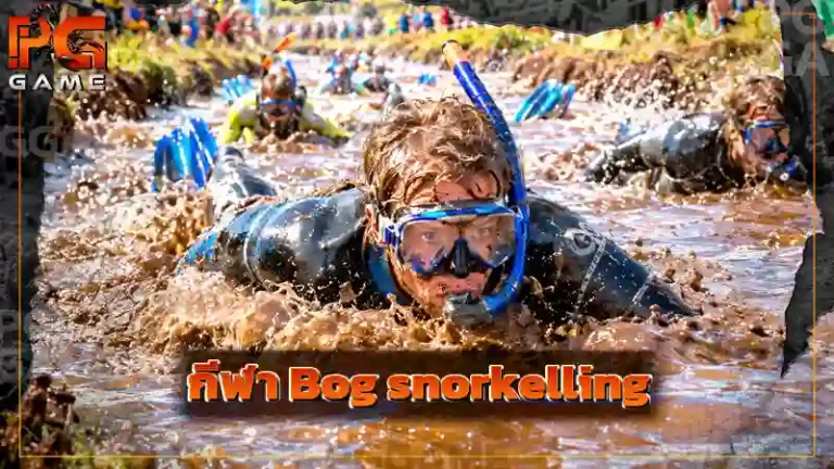 กีฬา Bog snorkelling
