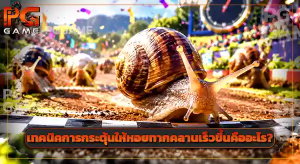 กีฬาสุดแปลก Snail Racing