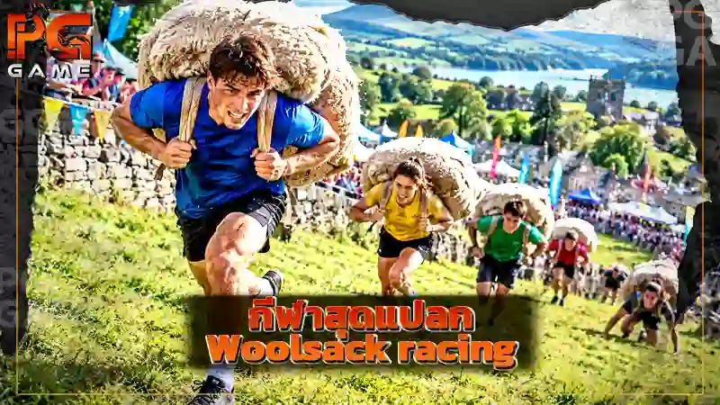 กีฬาสุดแปลก Woolsack racing